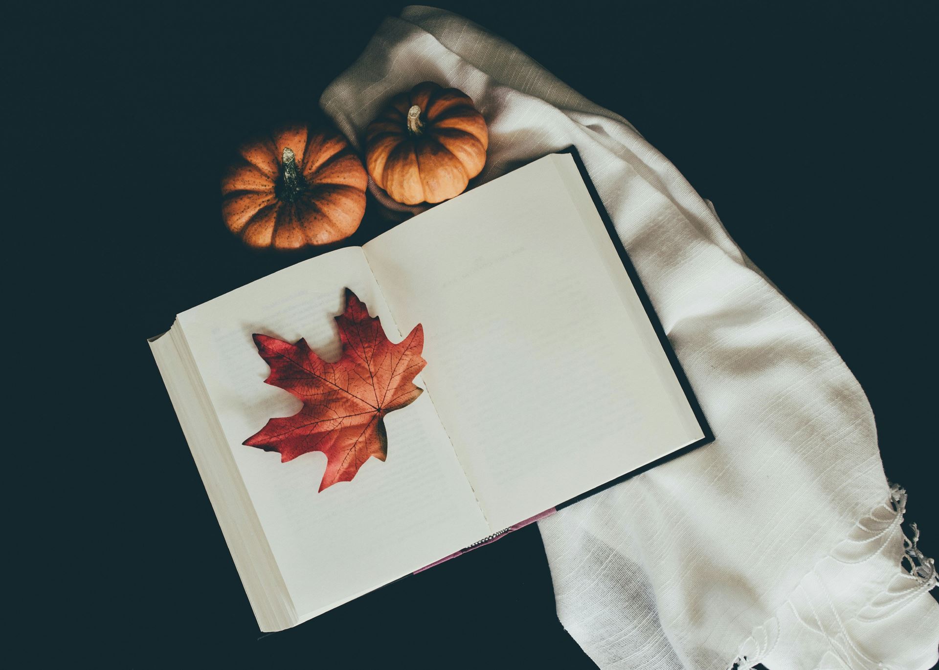 Book with a leaf on it